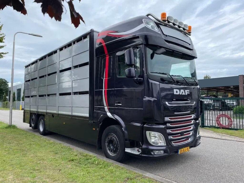 DAF XF 460 - Animal transporter - شاحنة ماشية: صورة 2 DAF XF 460 - Animal transporter - شاحنة ماشية: صورة 2