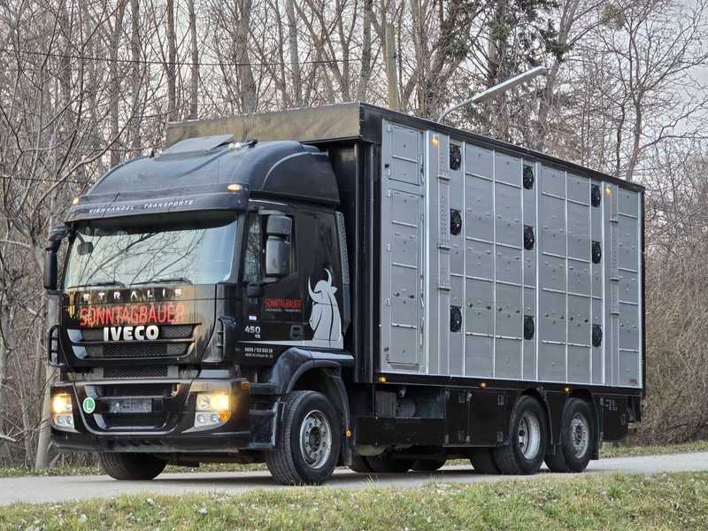 Iveco Stralis 260S45 - Animal transporter - شاحنة ماشية: صورة 1 Iveco Stralis 260S45 - Animal transporter - شاحنة ماشية: صورة 1