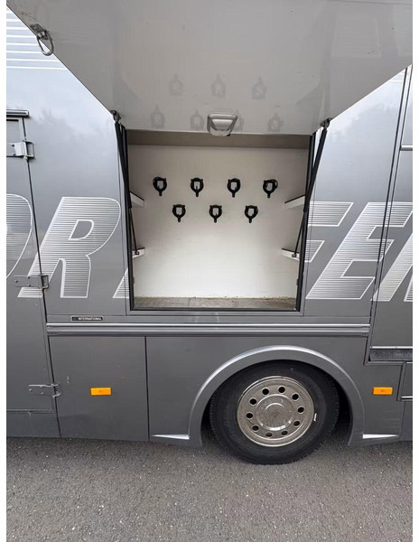 شاحنة نقل خيل Mercedes-Benz Atego 1529 - Horse transporter: صورة 8