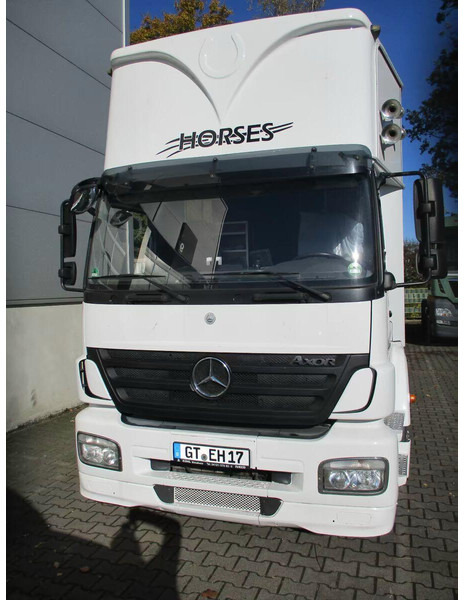 Mercedes-Benz Axor 1833 - Horse transporter - شاحنة نقل خيل: صورة 3 Mercedes-Benz Axor 1833 - Horse transporter - شاحنة نقل خيل: صورة 3
