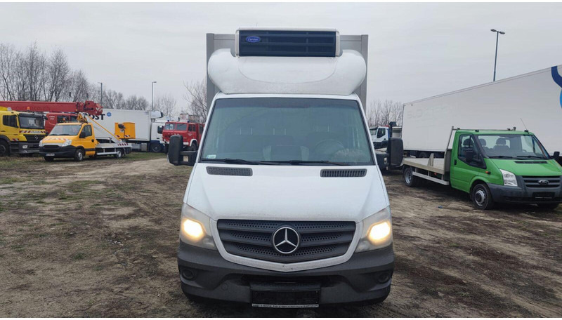 Mercedes-Benz Sprinter 316 cdi - Carrier Xarios 500 frigo - 3,5t - 220V - شاحنة توصيل مبردة: صورة 5 Mercedes-Benz Sprinter 316 cdi - Carrier Xarios 500 frigo - 3,5t - 220V - شاحنة توصيل مبردة: صورة 5
