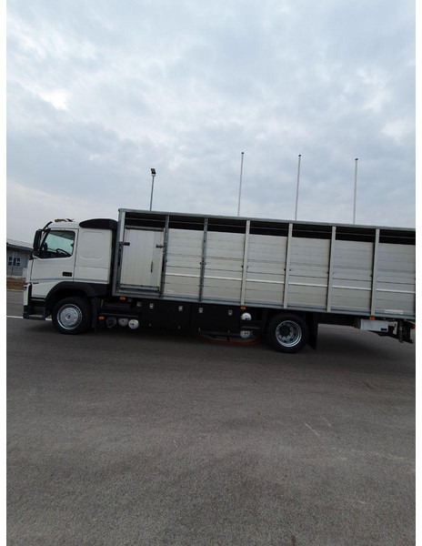 Volvo FM 500 Viehtransporter ( Rind / beef ) - شاحنة ماشية: صورة 5 Volvo FM 500 Viehtransporter ( Rind / beef ) - شاحنة ماشية: صورة 5