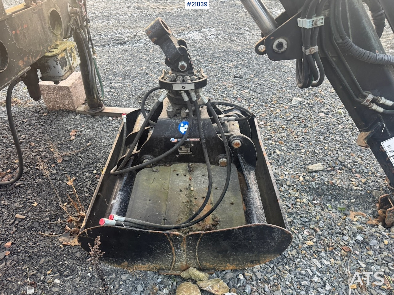 Gusella Bakker - مغراف الغراف الصدفي: صورة 1 Gusella Bakker - مغراف الغراف الصدفي: صورة 1