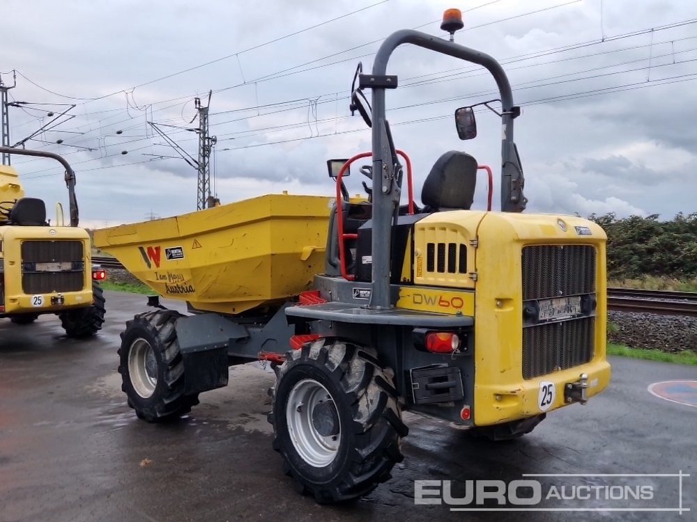 2020 Wacker Neuson DW60 - شاحنة قلابة صغيرة: صورة 4 2020 Wacker Neuson DW60 - شاحنة قلابة صغيرة: صورة 4