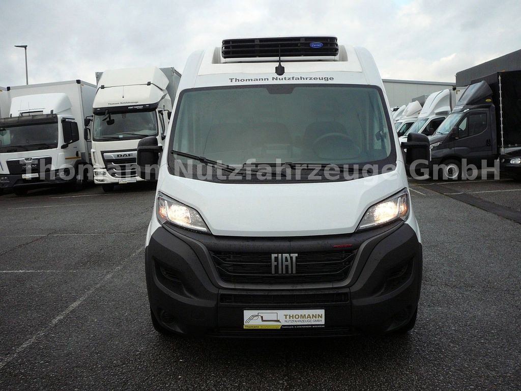 Fiat Ducato Kühlkasten L4/H2 Carrier Xarios 300GH Fiat Ducato Kühlkasten L4/H2 Carrier Xarios 300GH - شاحنة توصيل مبردة: صورة 2 Fiat Ducato Kühlkasten L4/H2 Carrier Xarios 300GH Fiat Ducato Kühlkasten L4/H2 Carrier Xarios 300GH - شاحنة توصيل مبردة: صورة 2