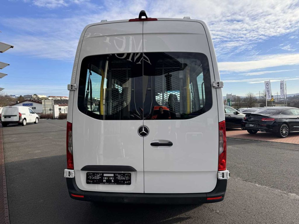 Mercedes-Benz Sprinter 316 CDI Rollstuhl-/Behinderten-Lift AMF - حافلة صغيرة, ميكروباص: صورة 5 Mercedes-Benz Sprinter 316 CDI Rollstuhl-/Behinderten-Lift AMF - حافلة صغيرة, ميكروباص: صورة 5