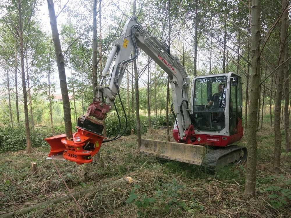 ملحق - معدات الغابات للبيع  Westtech Woodcracker CL190 Fällkopf Fällgreifer: صورة 6