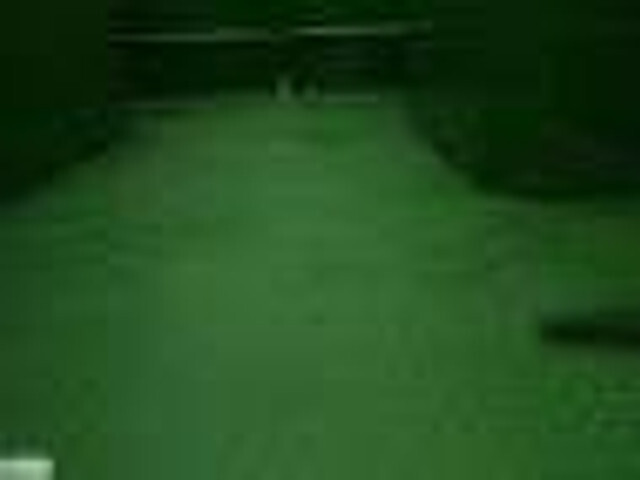 Dinapolis przyczepa do przewozu bydła TRV 510 - مقطورة للماشية: صورة 1 Dinapolis przyczepa do przewozu bydła TRV 510 - مقطورة للماشية: صورة 1