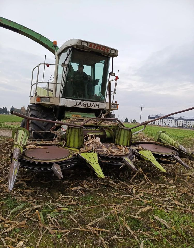 Claas Jaguar 840 - حصادة الأعلاف: صورة 2 Claas Jaguar 840 - حصادة الأعلاف: صورة 2