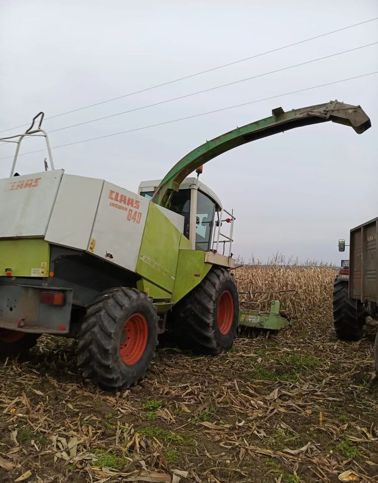 Claas Jaguar 840 - حصادة الأعلاف: صورة 5 Claas Jaguar 840 - حصادة الأعلاف: صورة 5