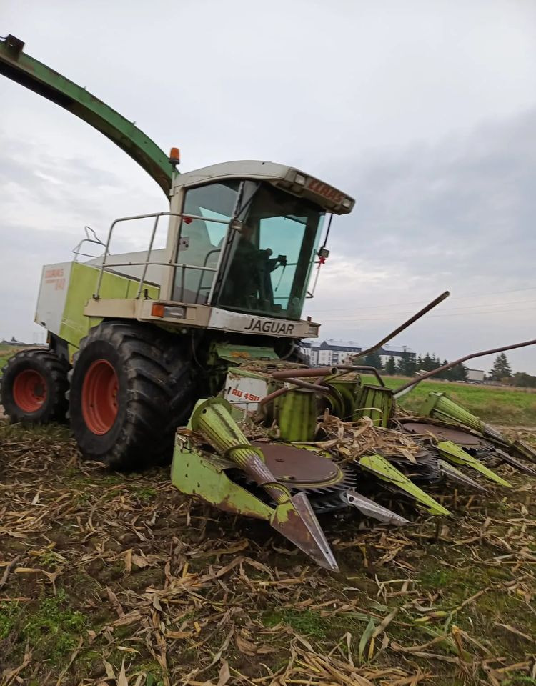 Claas Jaguar 840 - حصادة الأعلاف: صورة 1 Claas Jaguar 840 - حصادة الأعلاف: صورة 1