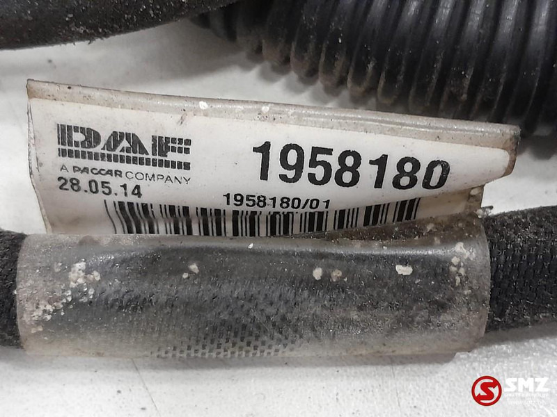DAF Occ koplampkabelboom DAF - كابلات/ ضفيرة الأسلاك - شاحنة: صورة 3 DAF Occ koplampkabelboom DAF - كابلات/ ضفيرة الأسلاك - شاحنة: صورة 3