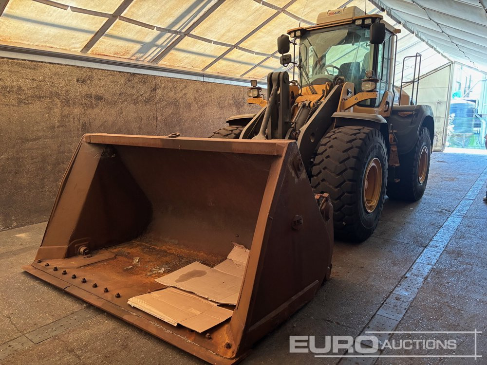 2015 Volvo L110H - اللودر بعجل: صورة 1 2015 Volvo L110H - اللودر بعجل: صورة 1