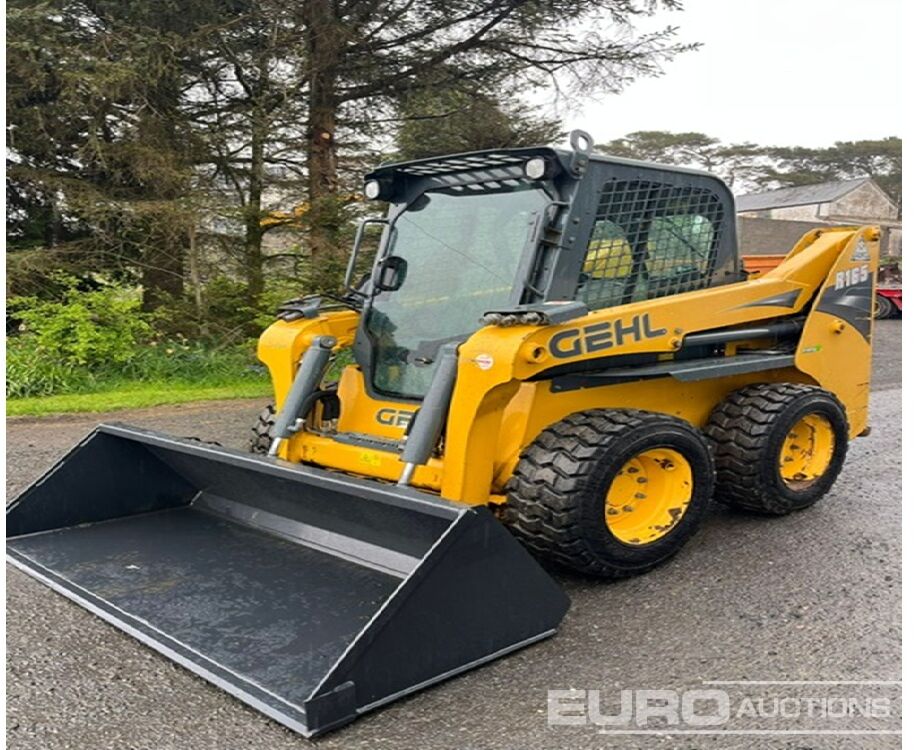 2018 Gehl R165 - شيول صغير: صورة 1 2018 Gehl R165 - شيول صغير: صورة 1