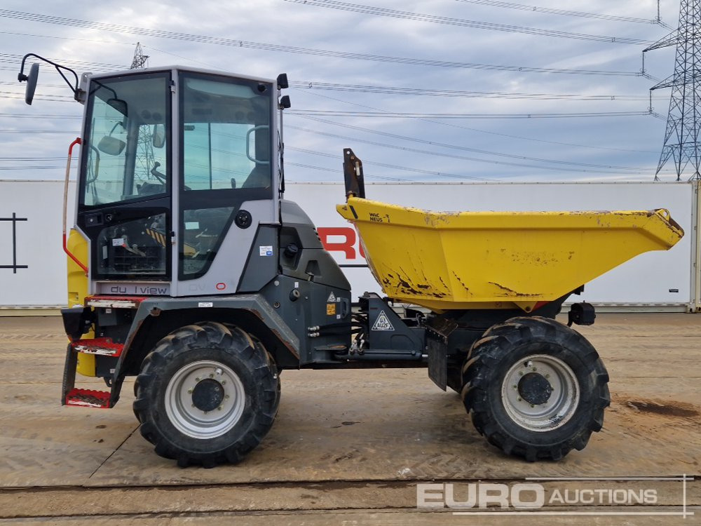 2019 Wacker Neuson DV60 - شاحنة قلابة صغيرة: صورة 2 2019 Wacker Neuson DV60 - شاحنة قلابة صغيرة: صورة 2