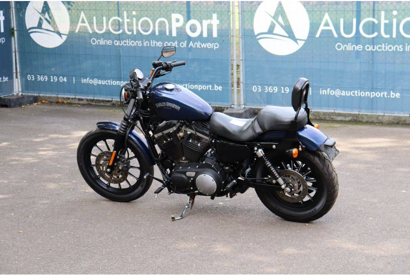 Harley-Davidson Sportster XL883 Iron - دراجة نارية: صورة 3 Harley-Davidson Sportster XL883 Iron - دراجة نارية: صورة 3