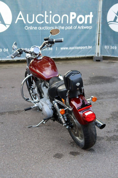 Harley-Davidson Sportster XL883 - دراجة نارية: صورة 5 Harley-Davidson Sportster XL883 - دراجة نارية: صورة 5