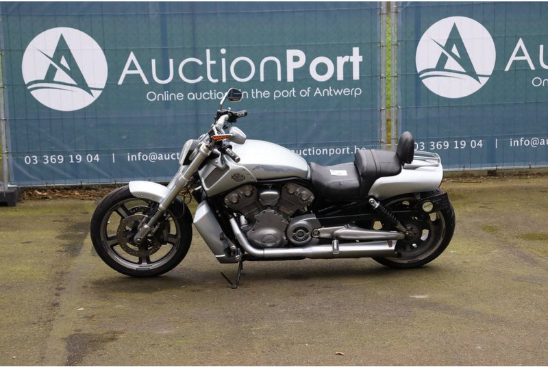 Harley-Davidson V-Rod Muscle - دراجة نارية: صورة 1 Harley-Davidson V-Rod Muscle - دراجة نارية: صورة 1