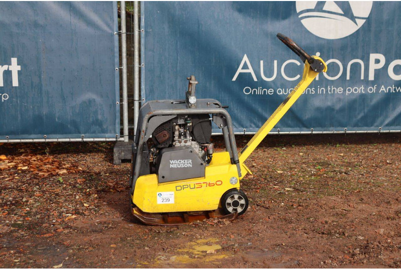 Neuson DPU3760 - صفيحة هزازة: صورة 1 Neuson DPU3760 - صفيحة هزازة: صورة 1