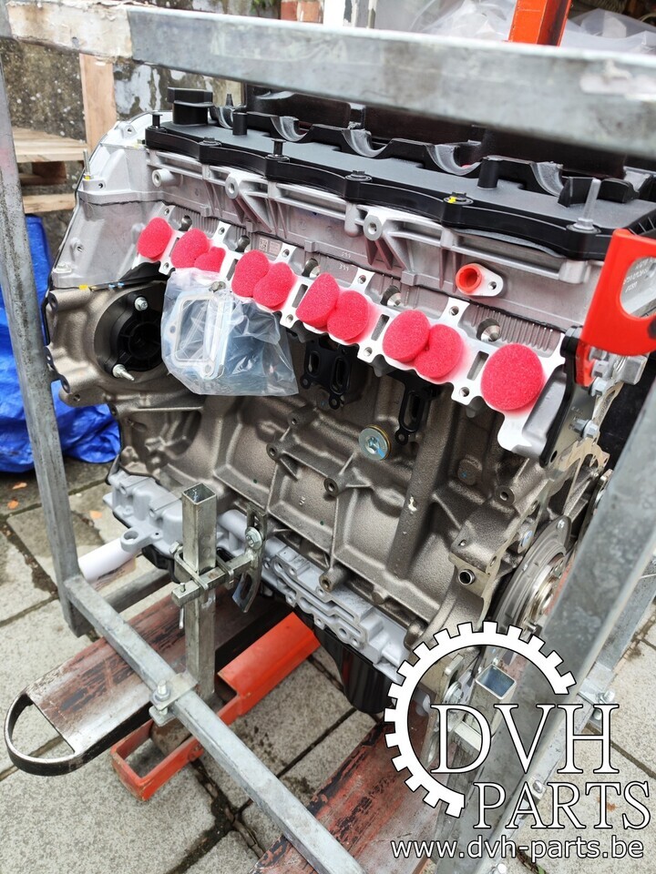 Ford RANGER QJ2R - QW2R - GBVAQJ - محرك - شاحنة البيك أب: صورة 1 Ford RANGER QJ2R - QW2R - GBVAQJ - محرك - شاحنة البيك أب: صورة 1
