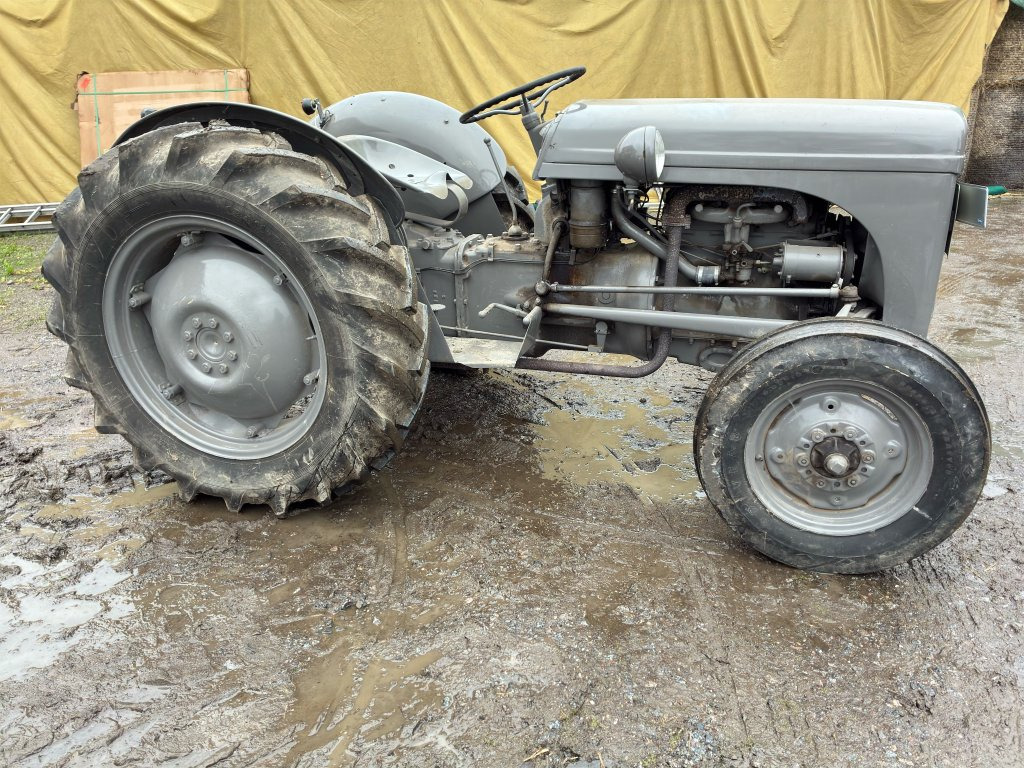 FERGUSON TED 20 - جرار: صورة 4 FERGUSON TED 20 - جرار: صورة 4