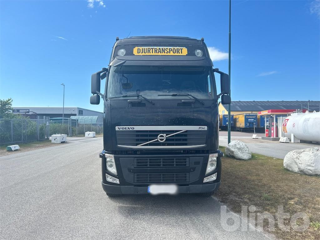 VOLVO FH 6X2 - شاحنة ماشية: صورة 3 VOLVO FH 6X2 - شاحنة ماشية: صورة 3